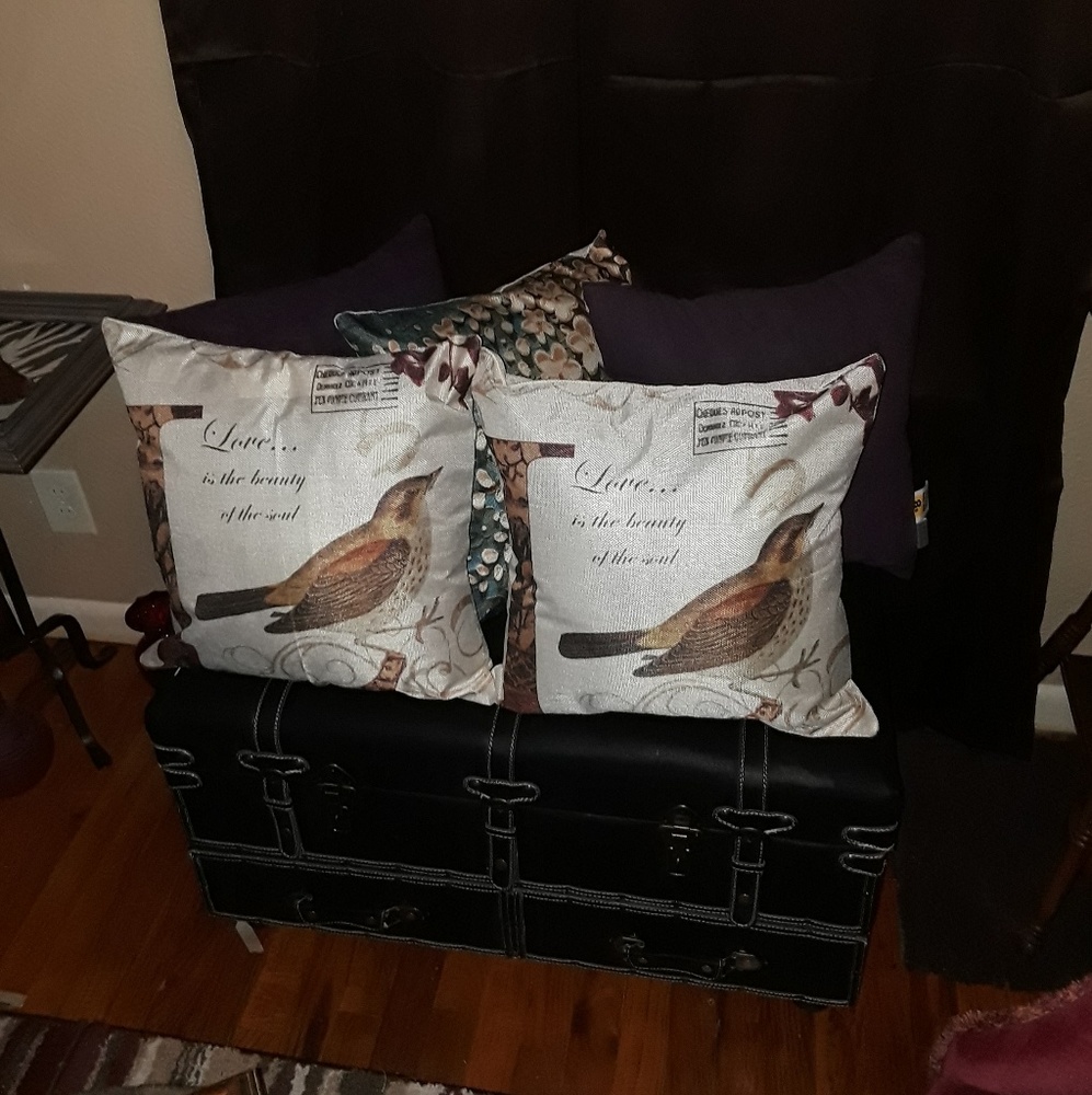 2 new pillows